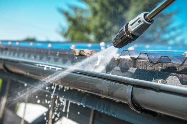 Best Pressure Washing Siding  in Roselle, NJ