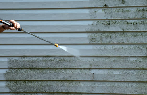 Best Garage Pressure Washing  in Roselle, NJ