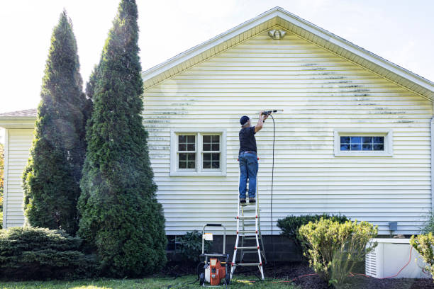Best Exterior Home Cleaning  in Roselle, NJ
