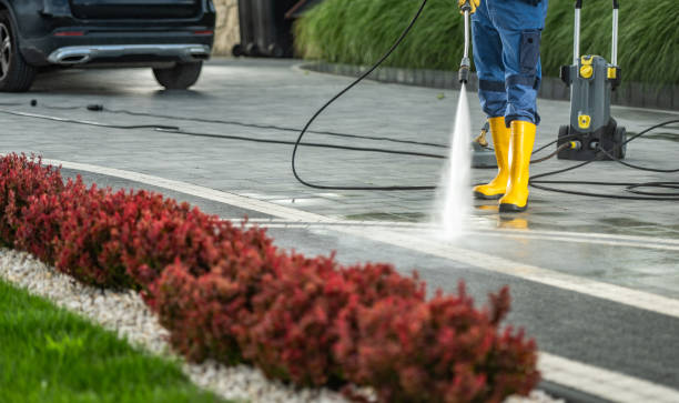 Best Deck Cleaning Services  in Roselle, NJ