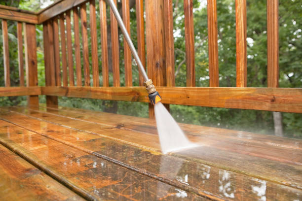 Best Local Pressure Washing Services  in Roselle, NJ