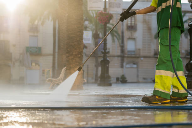 Best Local Pressure Washing Services  in Roselle, NJ